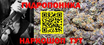 apvp Нальчик