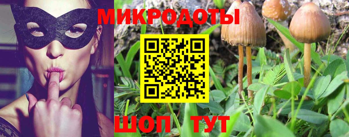 Псилоцибиновые грибы мицелий Фролово