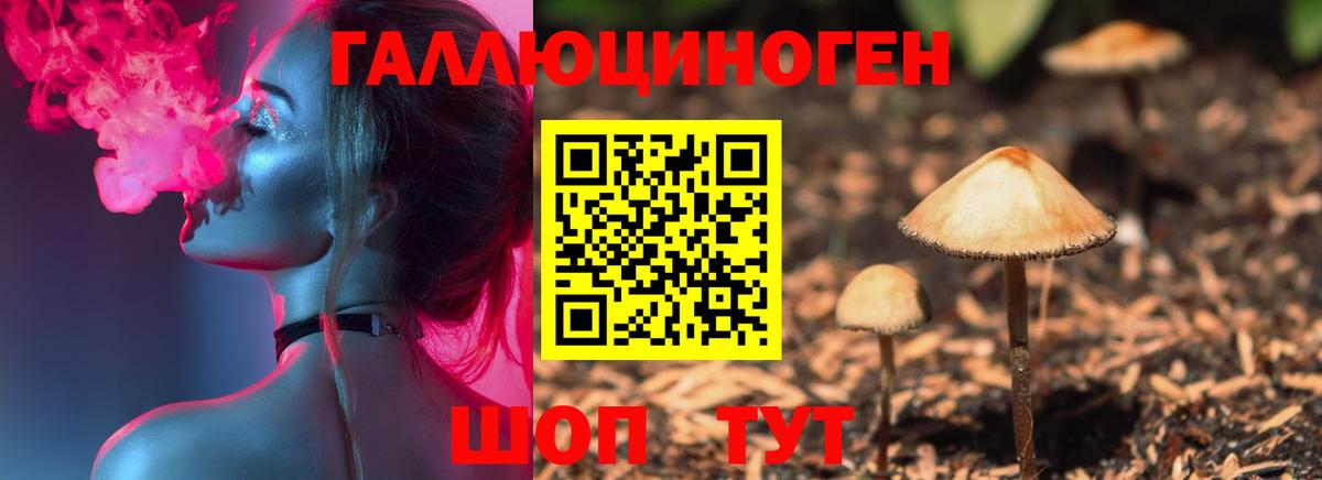 Псилоцибиновые грибы Psilocybe  Вход с VPN  Фролово 